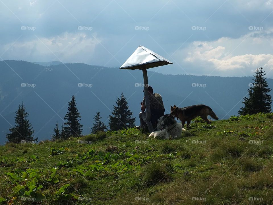 upload photos of the week