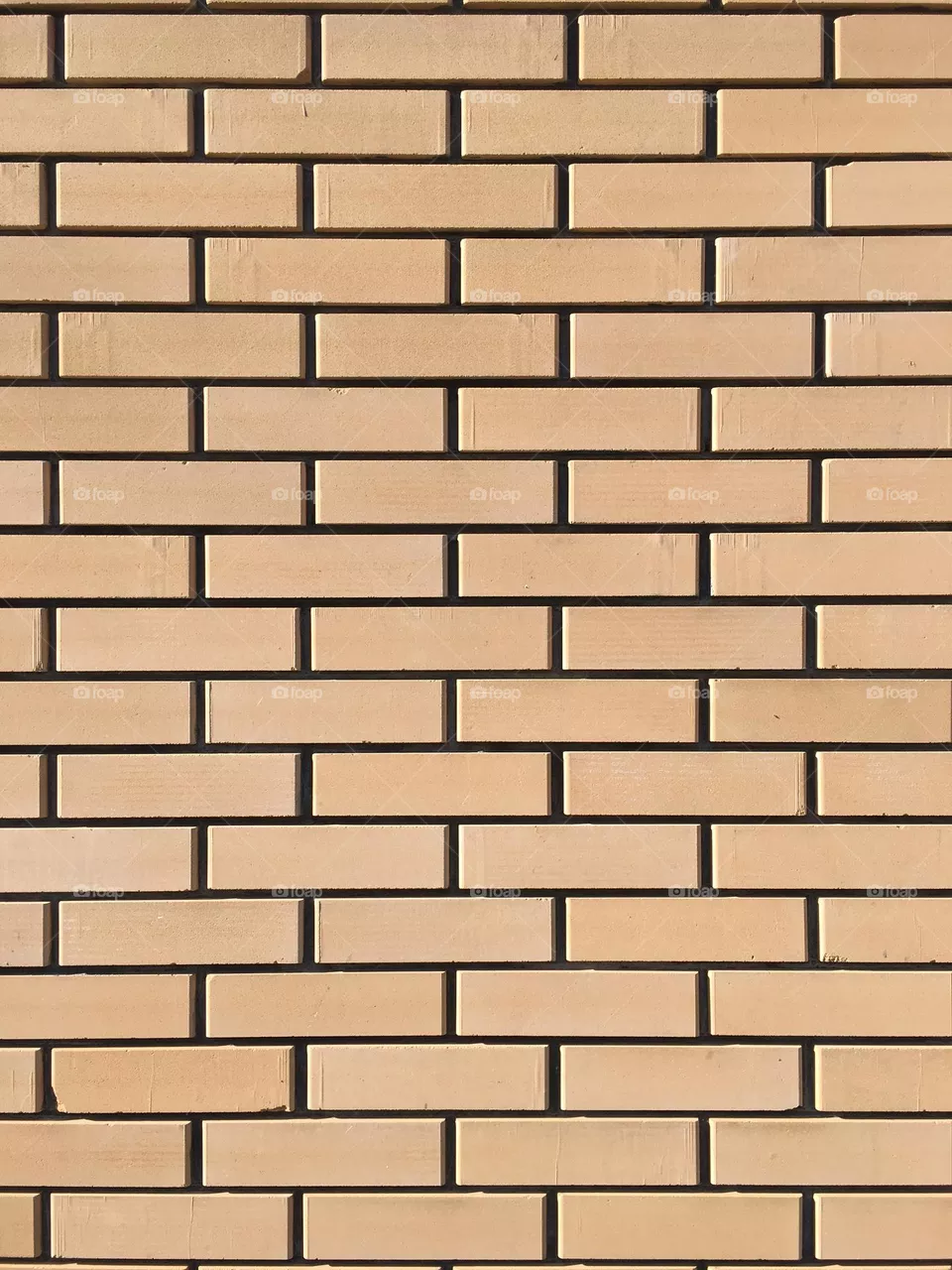 Brick wall 