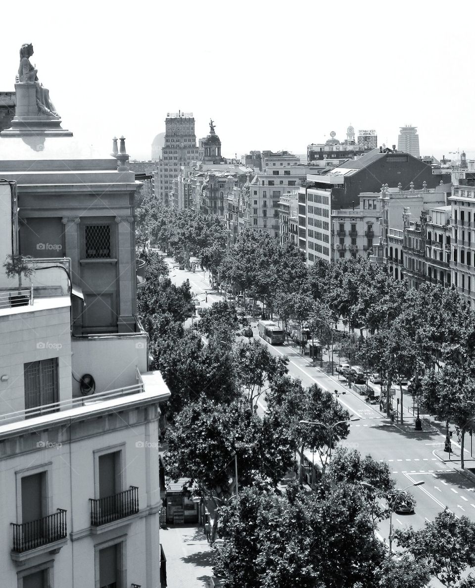 Barcelona boulevard