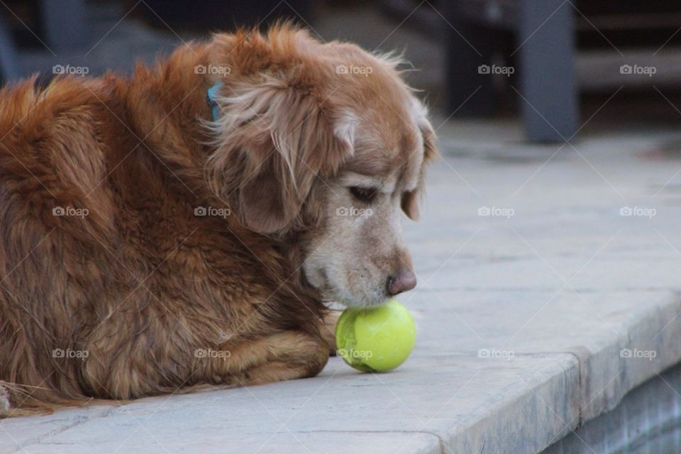 Ball Marley