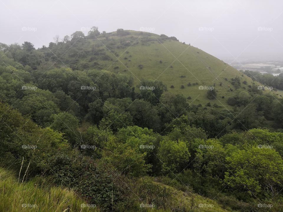 Green hills