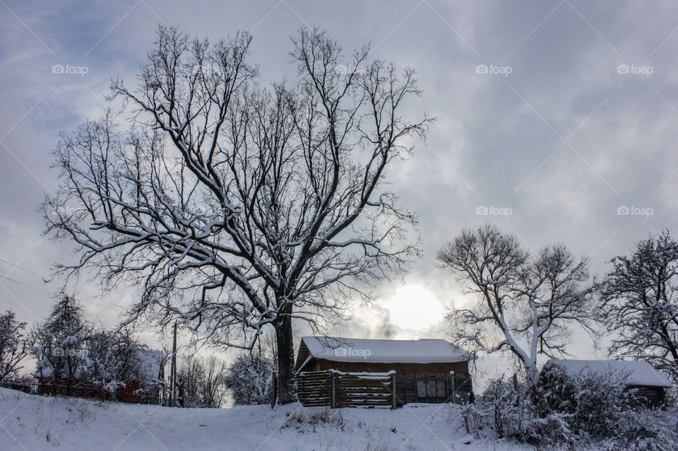 Winter in the Belarusian village