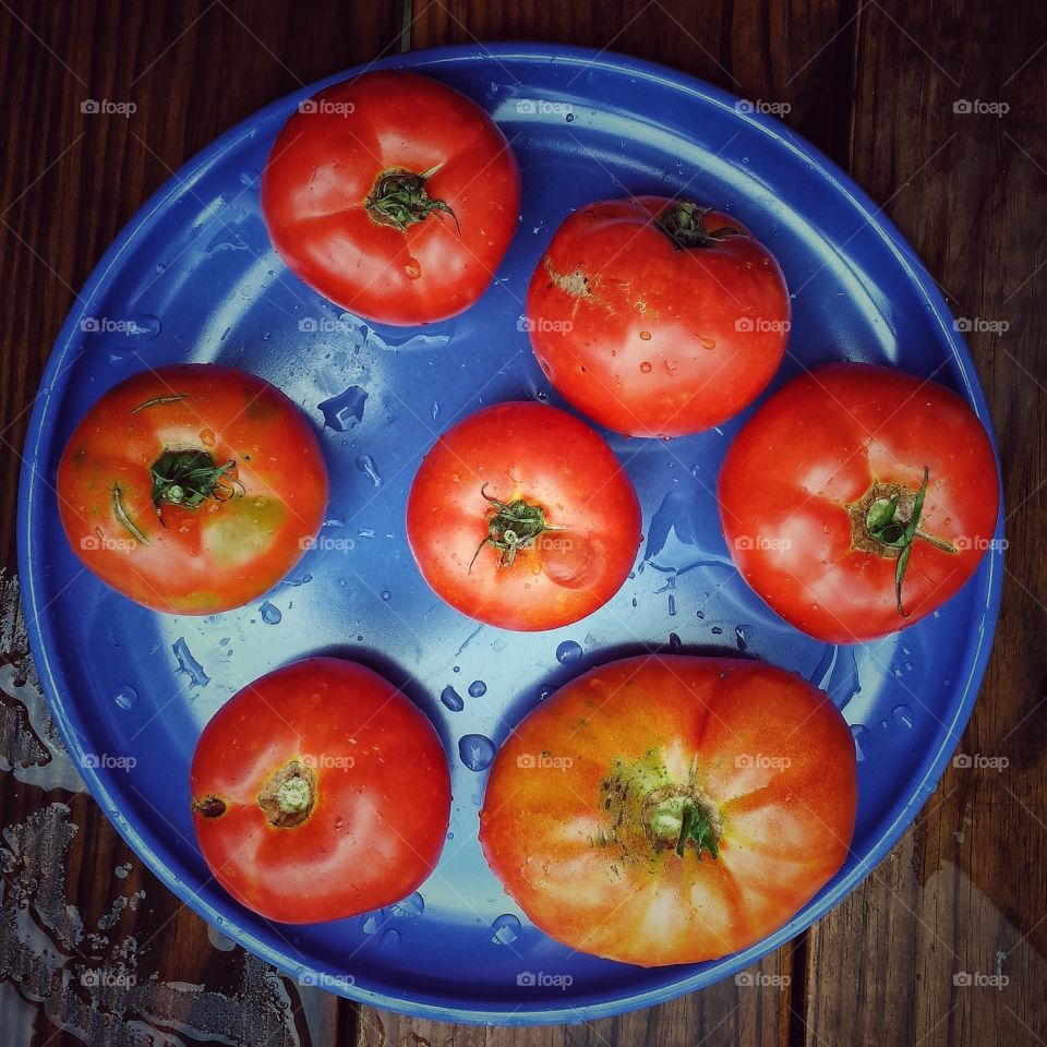 High angle view of tomato in plate