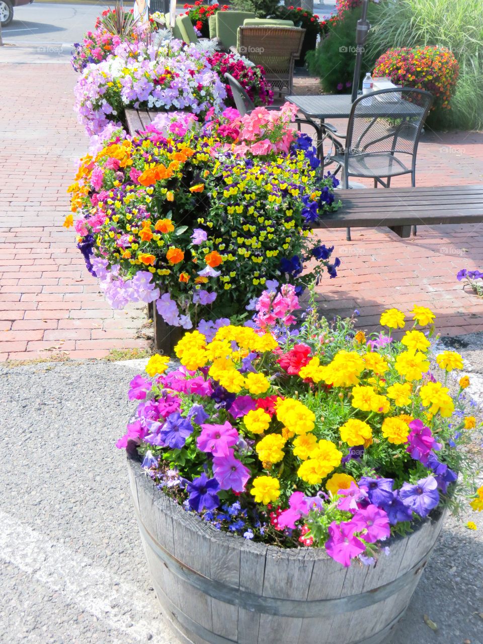 Multi colored flowers in container