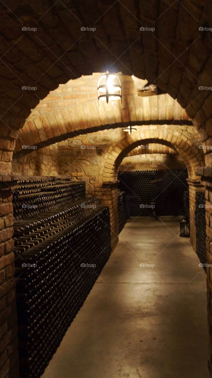 Wine cellar