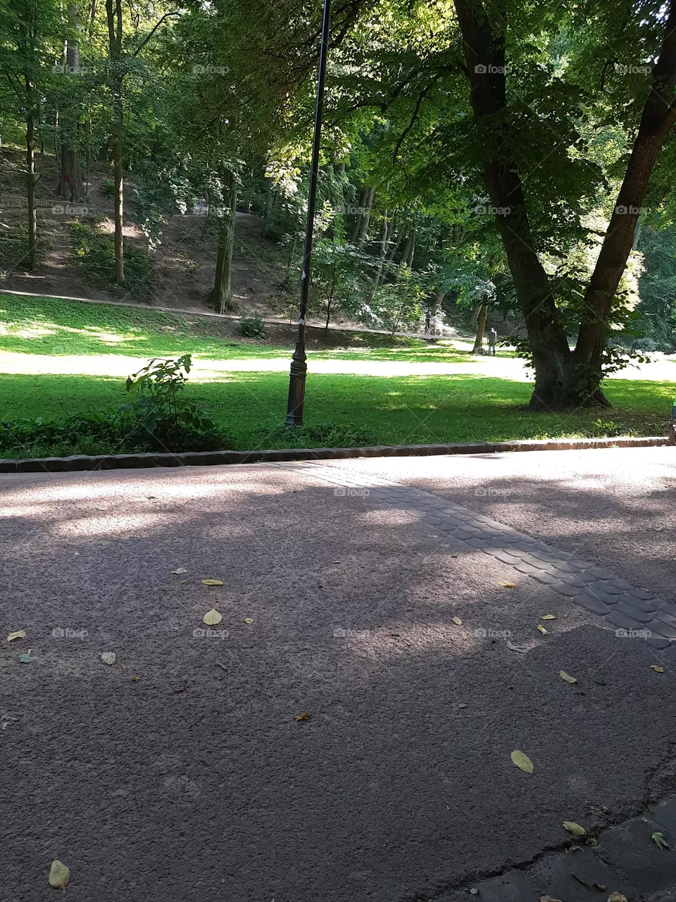 park in Ukraine