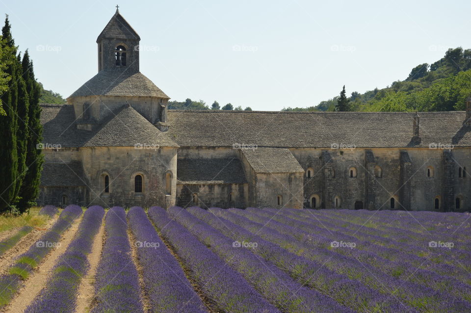 Abbaye Notre dame de Senanque, France 🇫🇷
