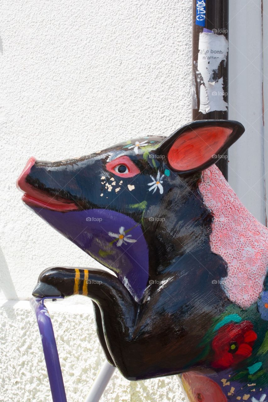 A Pig Riding a Scooter