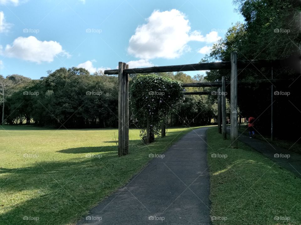 View from the Park path during the day