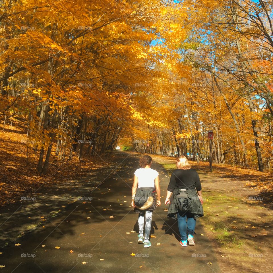 Lovely stroll on a summers day, like walking into a picture.   An ild railway line turned into a nature trail.   The Farmington Trail in Connecticut.