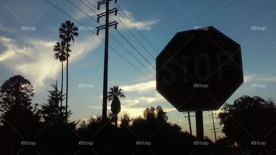 Stop Sign Silouhette