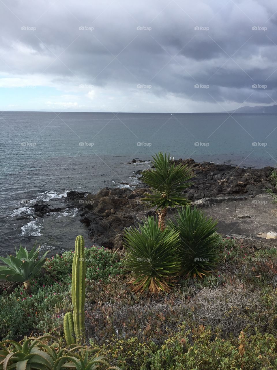 Puerto del Carmen Lanzarote Islas Canarias 