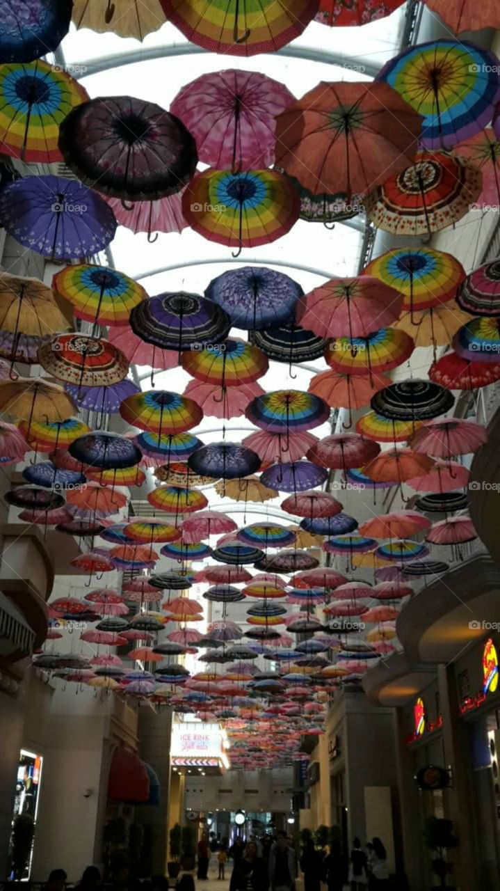 THE PALACE OF THE UMBRELLAS.