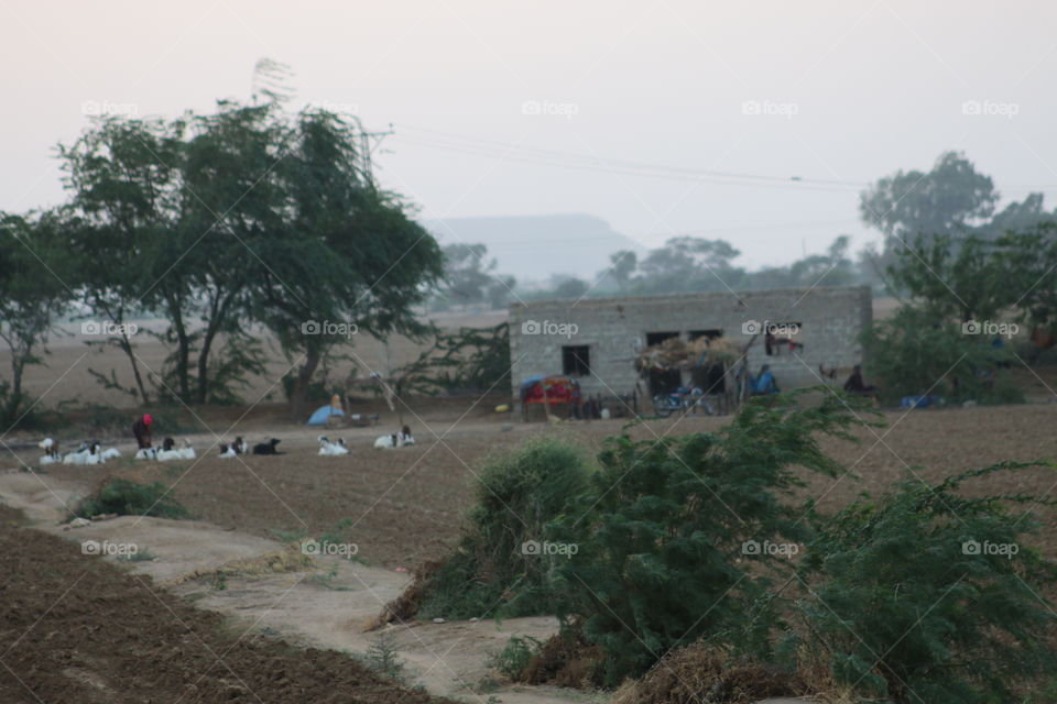 Village House Sindh