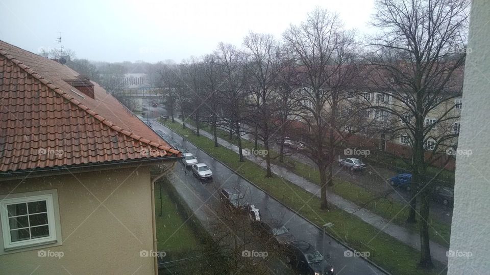 No Person, Landscape, Road, Tree, Travel