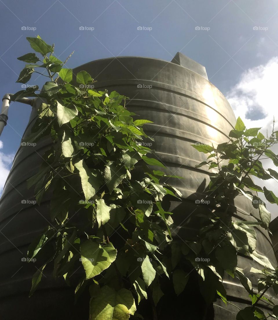 the collusion of sun and rain at the same time 