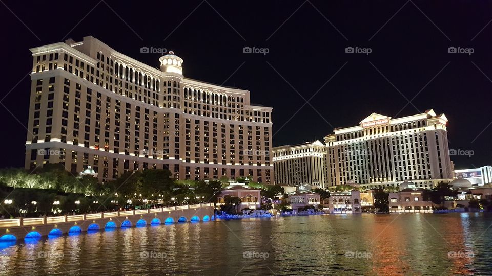 Belagio Hotel in Las Vegas