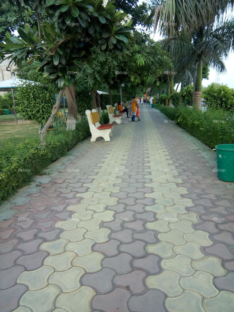 a beautiful seen in Bathinda city.