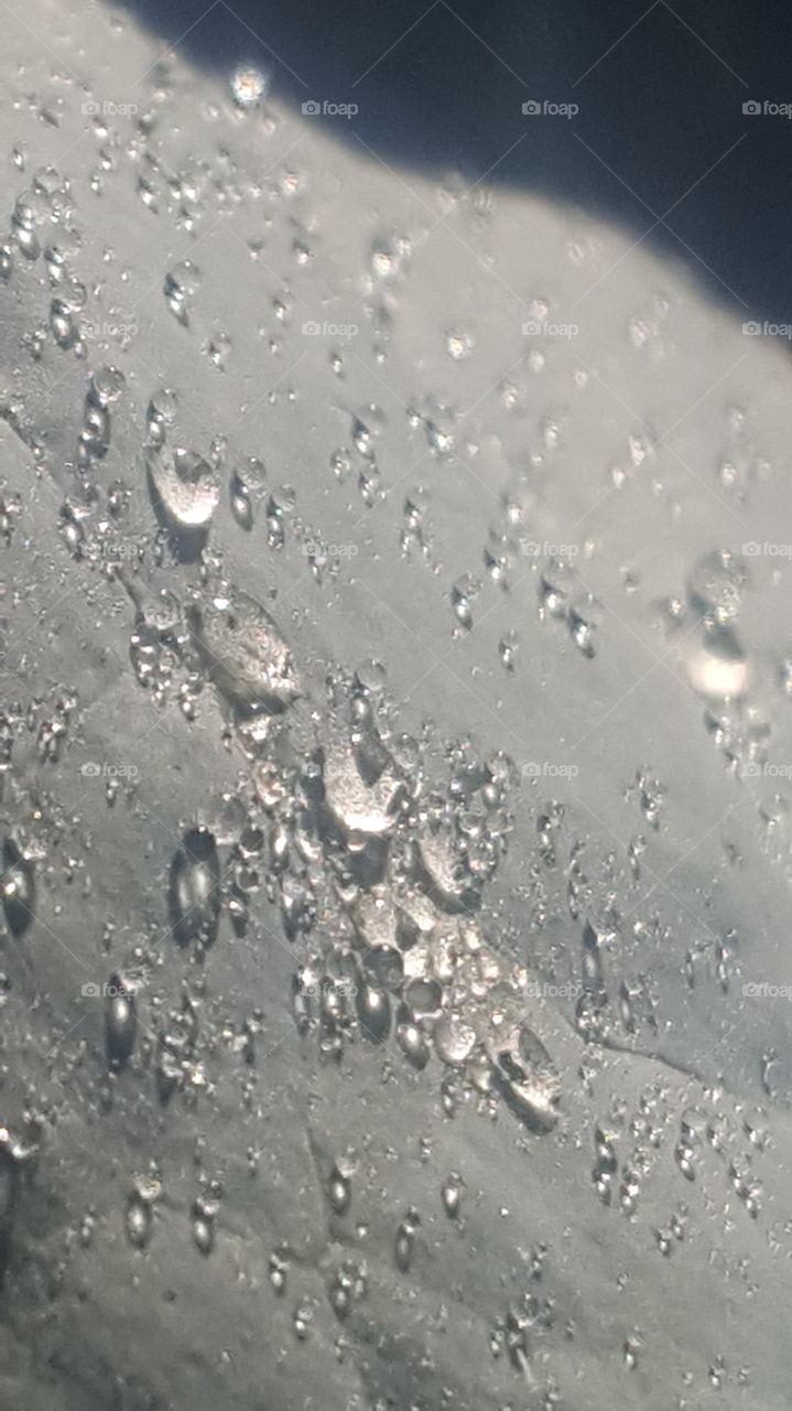 water drops on broccoli leaf