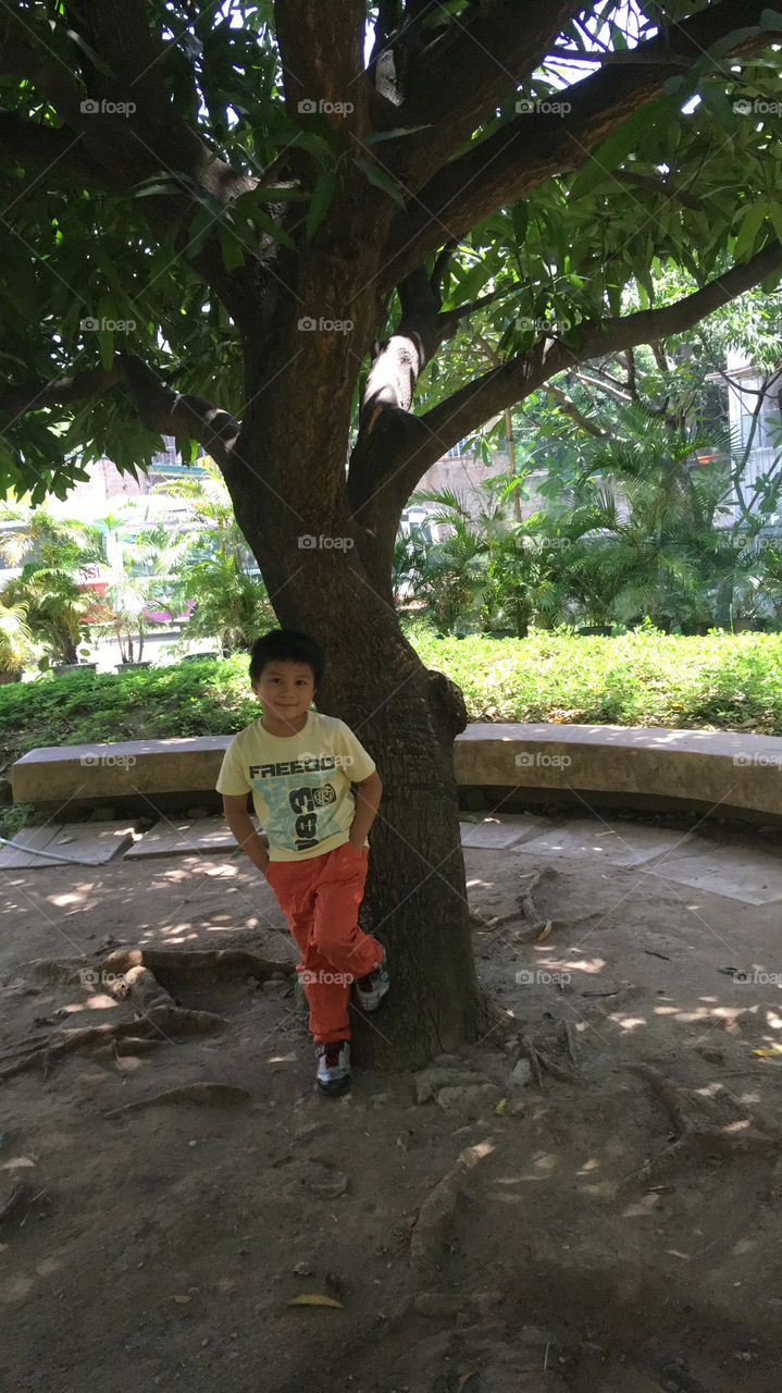 Kid under the tree