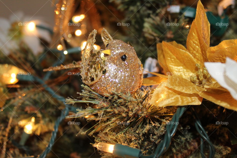 Close-up of a golden bird ornament in a Christmas tree 
