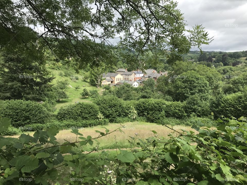 A fine example here  of glorious Devonshire countryside.