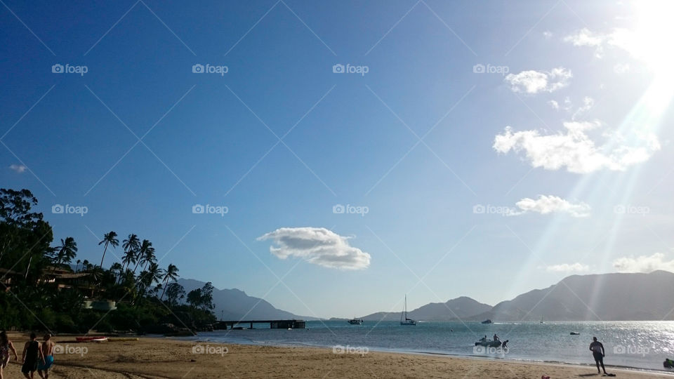 Scenic view of beach