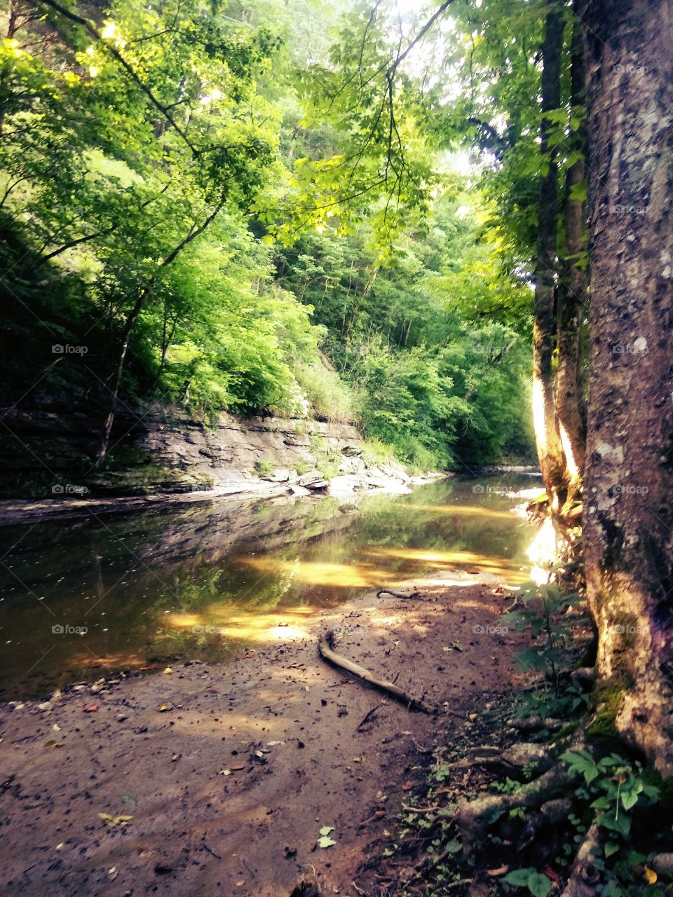 Kentucky creek