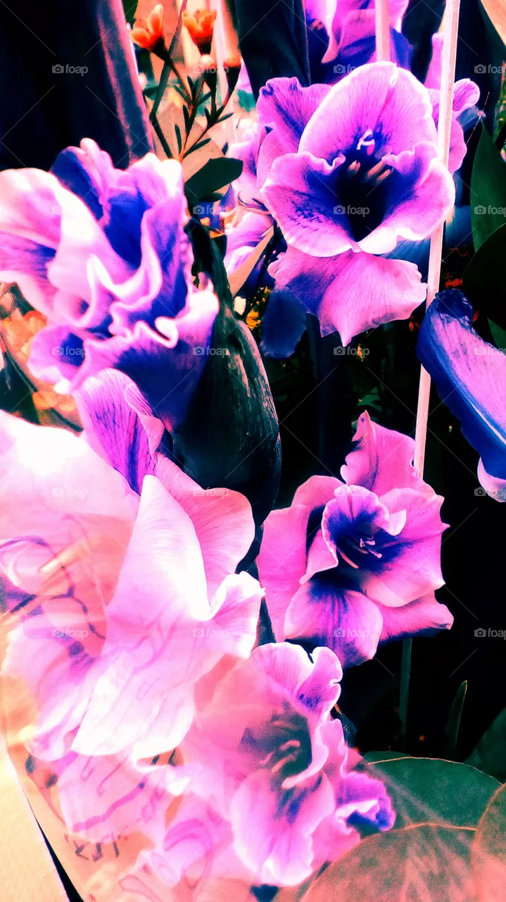 Flower
