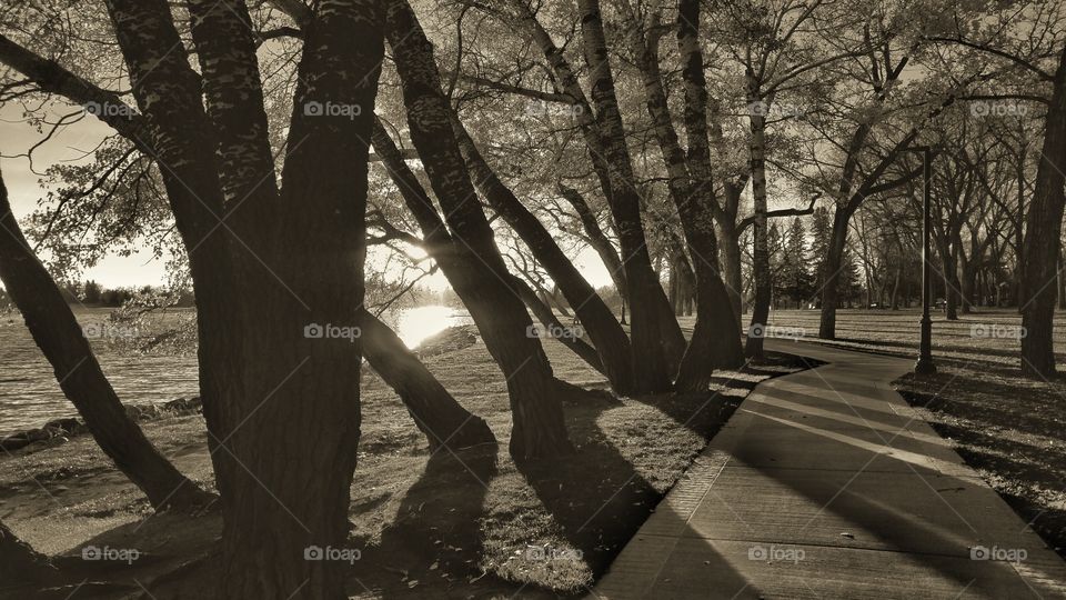 black and white cascades