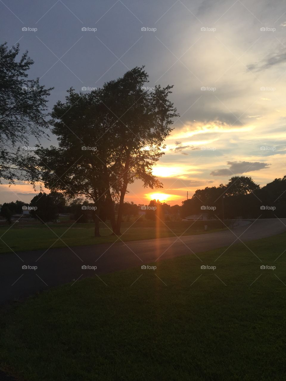 Sunset, Dawn, Landscape, Sun, Tree