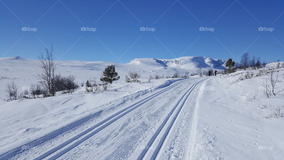 Winter landscape Geilo