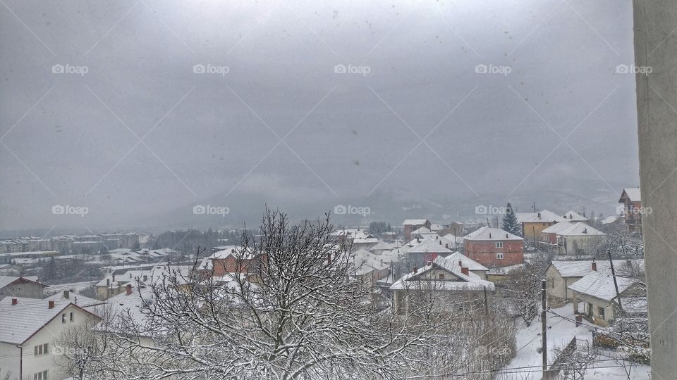 Snowy Rooftops