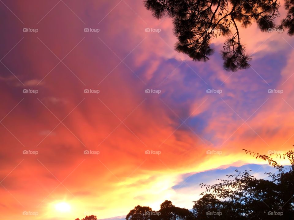 Fiery multicolored sunset.