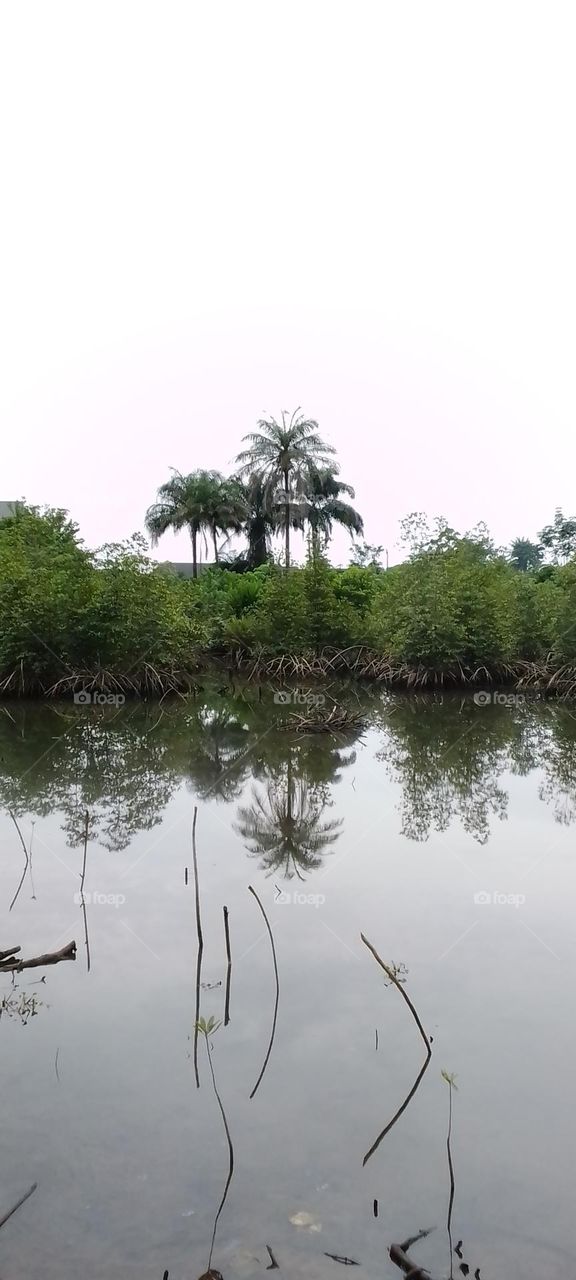 beautiful, bright, colourful, cool