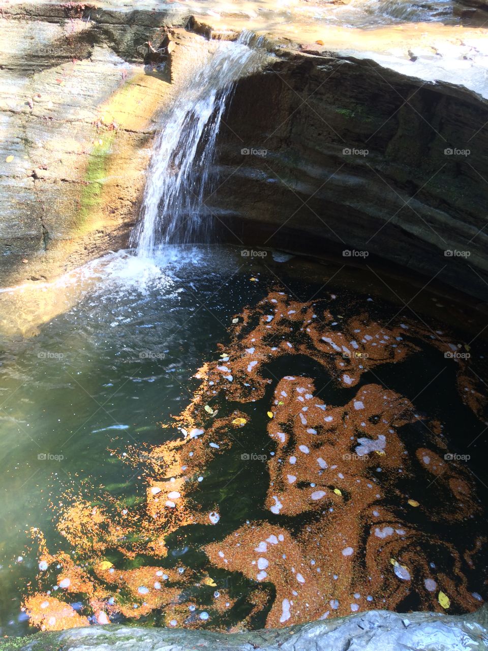 Buttermilk Falls, ithaca