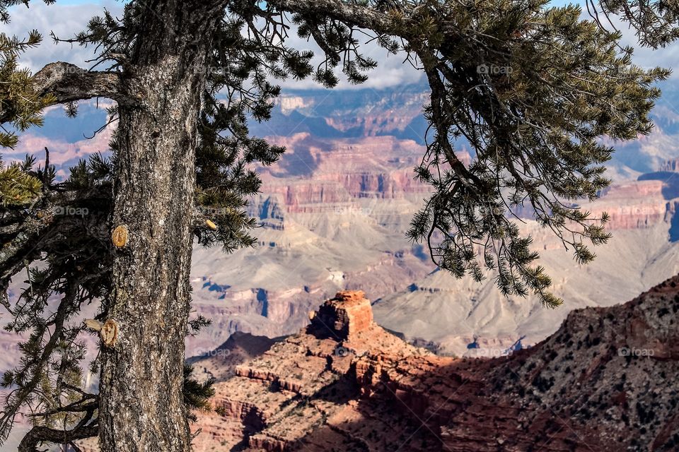 View of rocky mountains in grand canyon