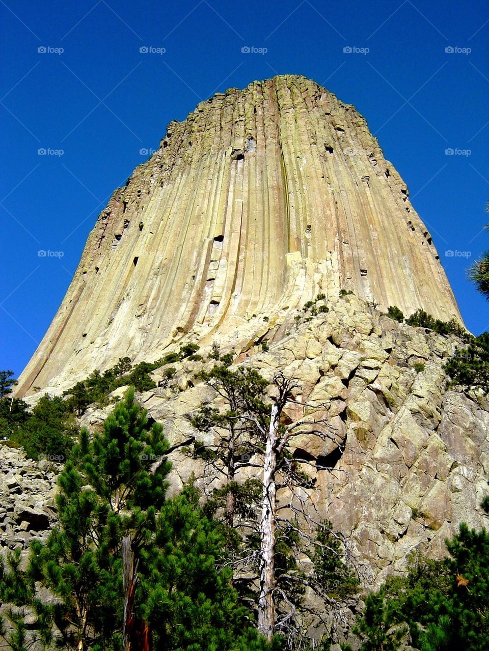 Devil's tower