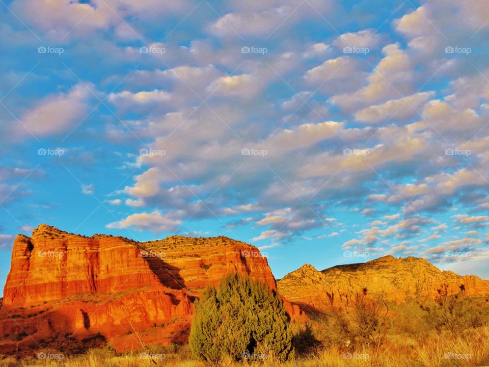 Beautiful contrasting colors captured in Sedona, Arizona.