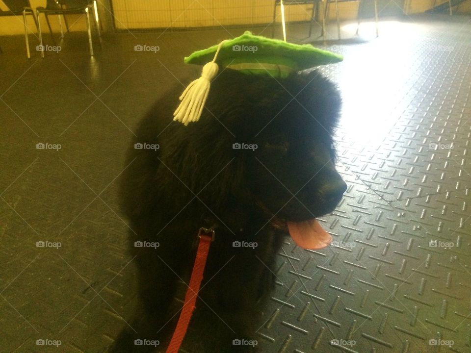 People, Indoors, One, No Person, Portrait