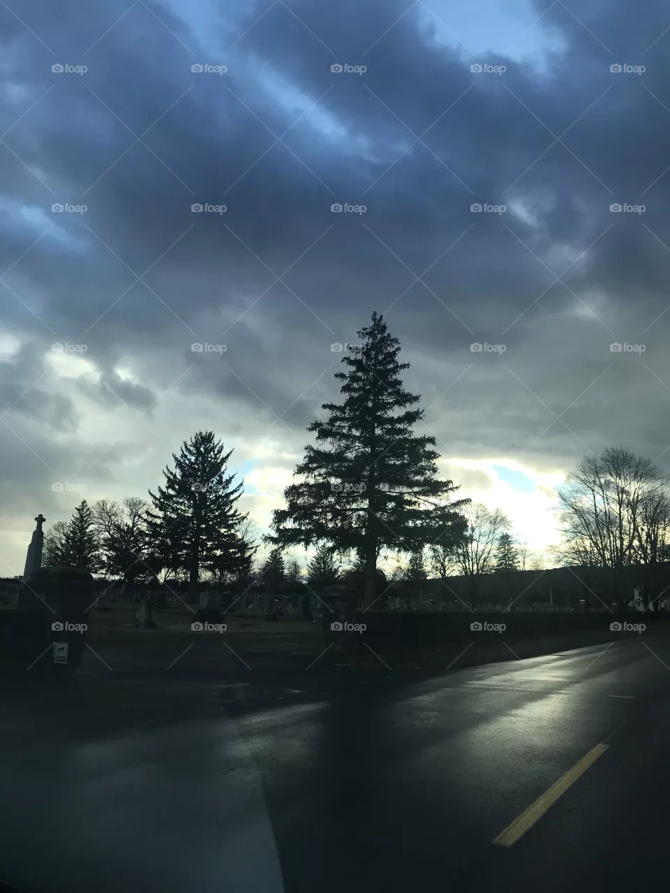 Sky