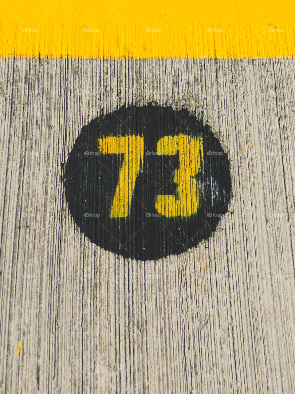 Number 73 yellow
