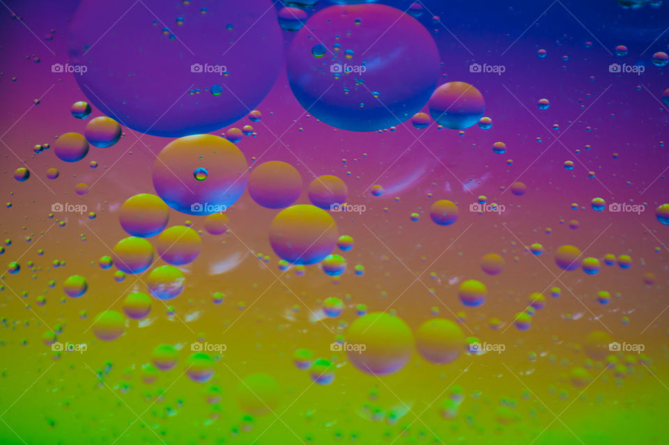 Circles of vegetable oil in water on a colorful background