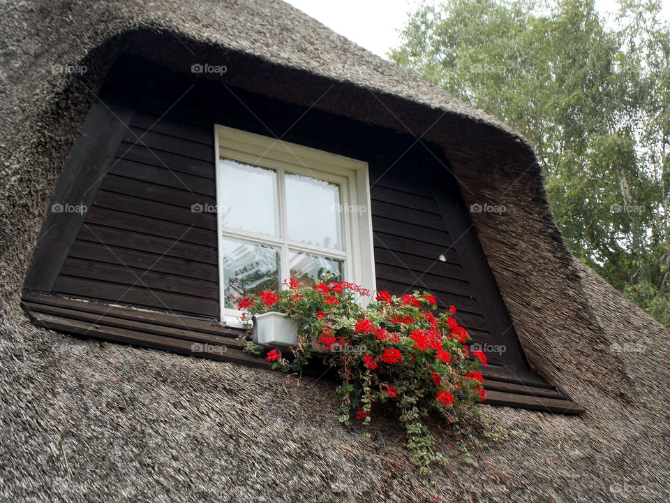 Ratzerburg Window. Windows from Germany