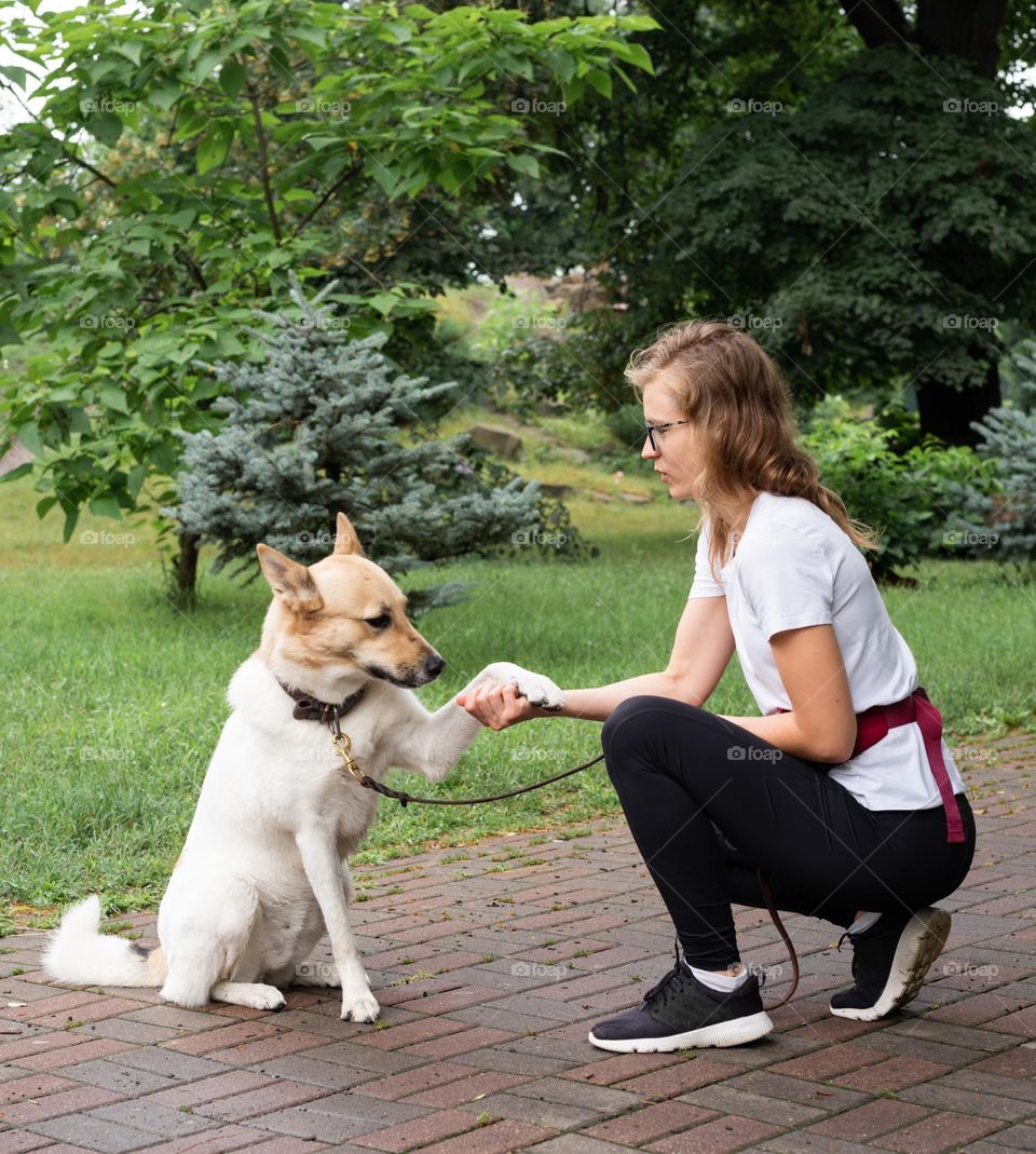 dog on the walk