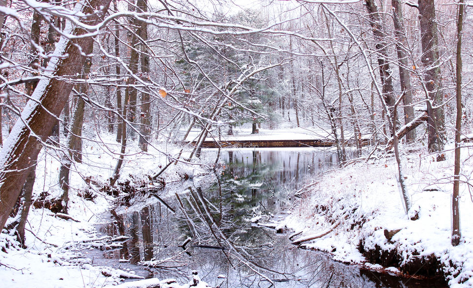 Freshly Fallen Snow at a stream flowing to a pond in the woods