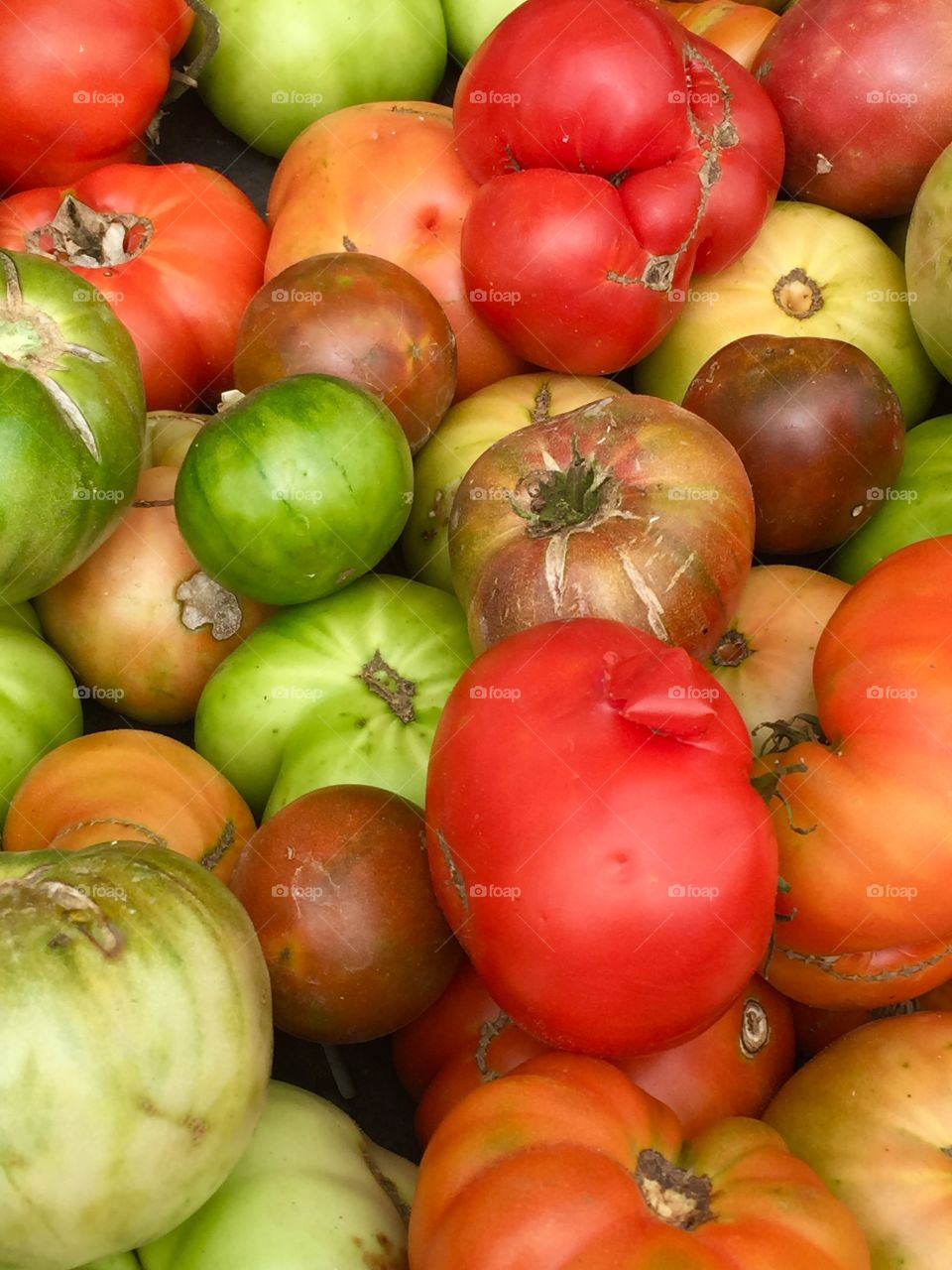 Farmers Market Tomatoes