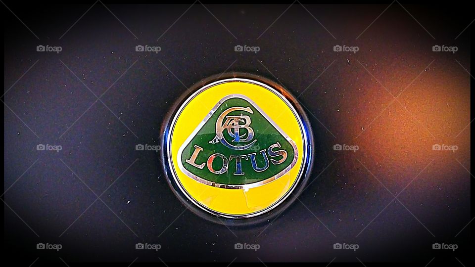 LOTUS emblem
