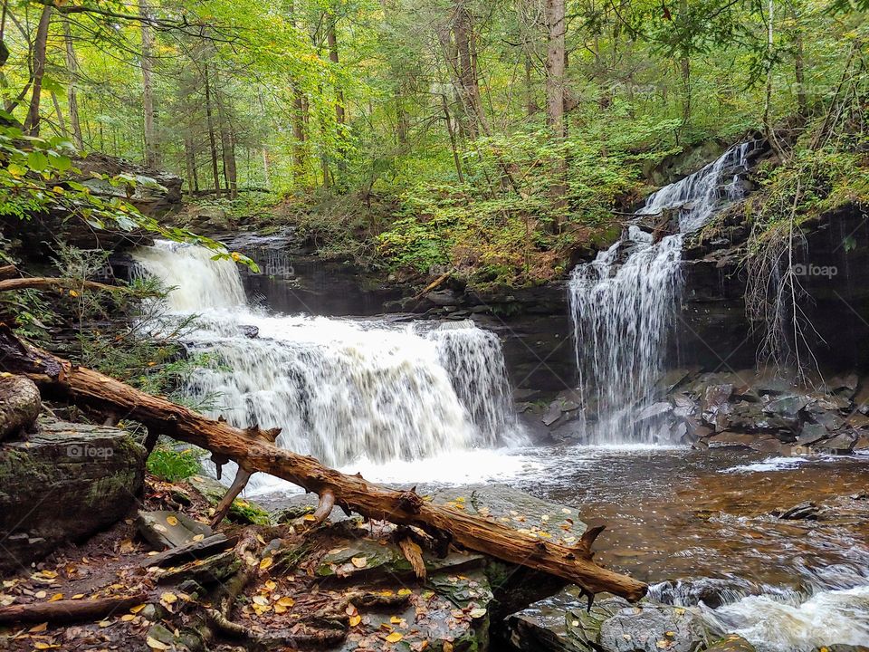 Ricketts Glen State Park