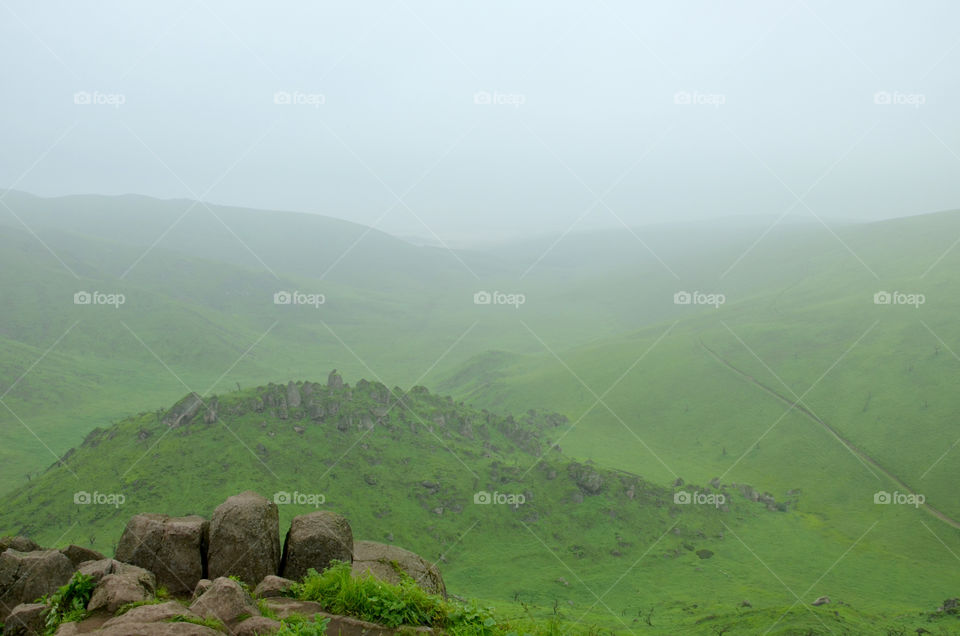 Lomas de lachay peru